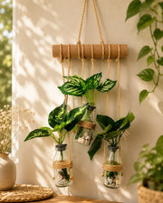 Wall Hanging Planter – 3 Tier Hanging Glass Jars with Artificial Greenery Plants on Eco-Friendly