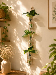 Vertical Wall Planter – 3 Straight Hanging Glass Jars